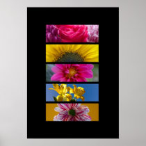 Print - Pink & Yellow Macro Flowers