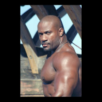 Print/Poster Darnell -- DDNEW44