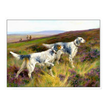 Print: Two English Setters in Field by VintagePets Print: Two English Setters in Field