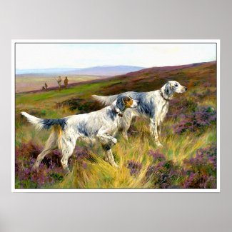 Print: Two English Setters in Field print