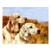 Print: Two Setters by Arthur Wardle by VintagePets Print: Two Setters by Arthur Wardle