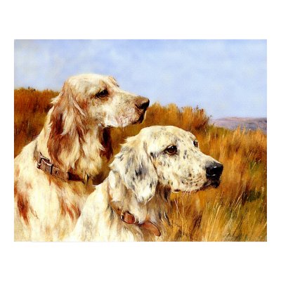 Print: Two Setters by Arthur Wardle by VintagePets