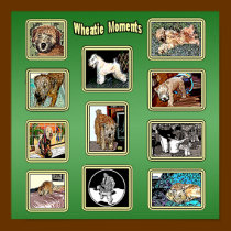 Print: Wheatie Moments by wheatenterrier Print: Wheatie Moments