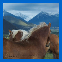 printed Canvas- Horses and Mountains by 1drafthorse printed Canvas- Horses and Mountains
