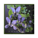 Printemps magnet by Emazevedo Printemps magnet