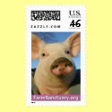 Priscilla Noelle the Pig postage