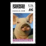 Priscilla Noelle the Pig postage
