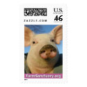 Priscilla Noelle the Pig postage by FarmSanctuary Priscilla Noelle the Pig postage