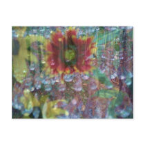 Prism flowers postcard