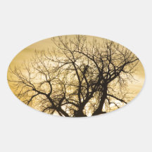 Prism Sunset Light Tree Magic Hour Stickers