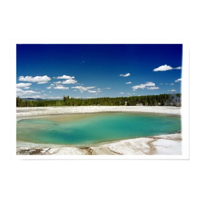 Prismatic Hot Spring at Yellowstone Posters by dmetzler