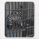Prison mousepads