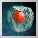 Prison Of Love posters