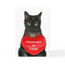 Prisoner of Love cards