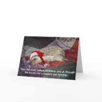 Prissy Christmas Card 2006 by katthomsen Prissy Christmas Card 2006