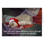 Prissy Christmas Card 2006
