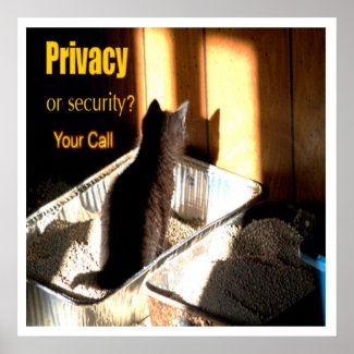 Privacy or Security?