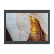 private kernels postcards