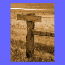 Private Vineyard posters