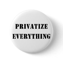 Privatize Everything Pins