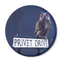 Privet Drive Refrigerator Magnets