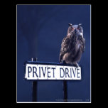 Privet Drive postcards