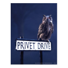 Privet Drive Post Card