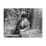 Prize Bulldog, 1910s Post Cards