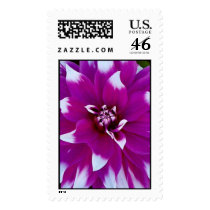 Prize Dahlia postage by erin_kathleen Prize Dahlia postage