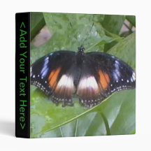 Prized Butterfly Binder