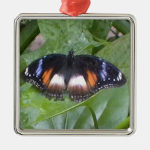 Prized Butterfly Christmas Ornament