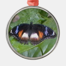 Prized Butterfly Christmas Tree Ornaments