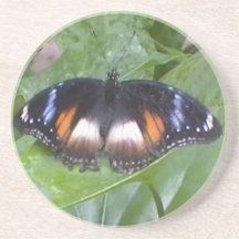 Prized Butterfly Coaster