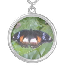 Prized Butterfly Jewelry
