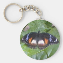 Prized Butterfly Key Chain