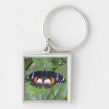 Prized Butterfly Key Chains