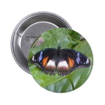 Prized Butterfly Pinback Buttons