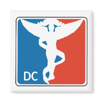 Pro Chiropractor Magnet by chiropracticbydesign Pro Chiropractor Magnet