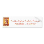 Pro gay rights Pro Life Feminist Republican Bumper Stickers