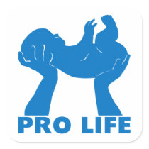 Pro Life 2 Stickers