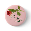 Pro Life Button