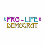 Pro-Life Democrat Acrylic Cut Out