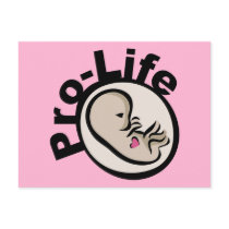 Pro-Life Fetus Design Postcard