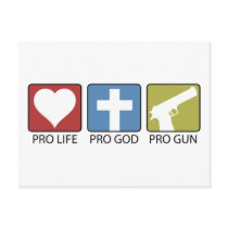 Pro Life, Pro God, Pro Gun Post Card