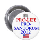 Pro-Life Pro-Santorum Pin