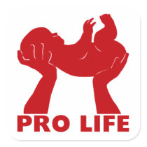 Pro Life Sticker