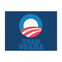 Pro-Obama - TEAM OBAMA Postcards