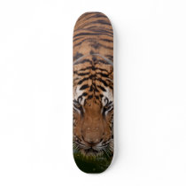 Pro Skate Board - Tiger Image