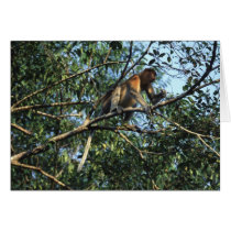 Proboscis Monkey Card