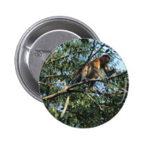 Proboscis Monkey in Borneo buttons